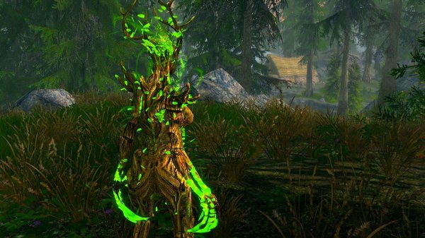 Сприган-матриарх вышла к дому..