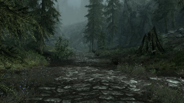 TESV 2020-12-13 17-23-57-60.jpg