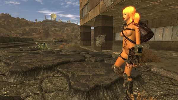 Похождения Шестой по пустоши Мохаве