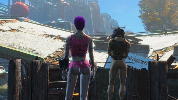 И ничего лишнего ;) Fallout-4 (Сборка 6.4)