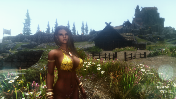 The Elder Scrolls V  Skyrim Special Edition Screenshot 2020.11.06 - 22.20.39.09.png