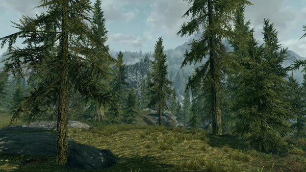 TESV 2020-12-13 17-26-25-94.jpg