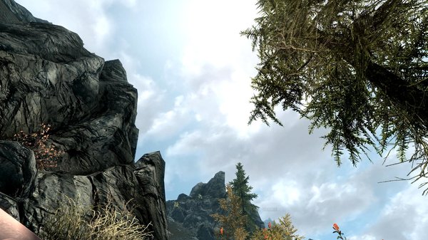 TESV 2020-12-05 17-07-25-01.jpg