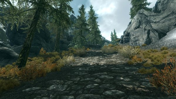 TESV 2020-12-30 16-51-41-65.jpg