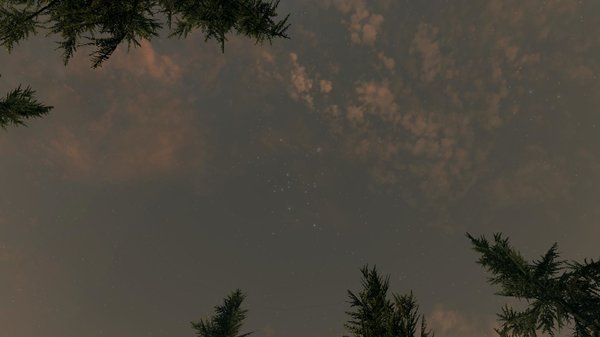 TESV 2020-12-30 16-40-17-11.jpg