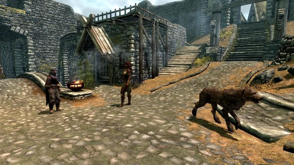 TESV 2020-12-05 18-09-03-87.jpg