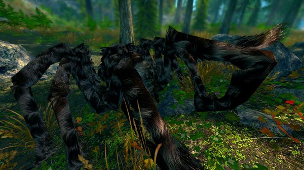Паучха.. SkyrimSE (сборка 6.0)