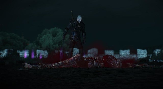 witcher3 2020-06-21 21-30-11-00.jpg