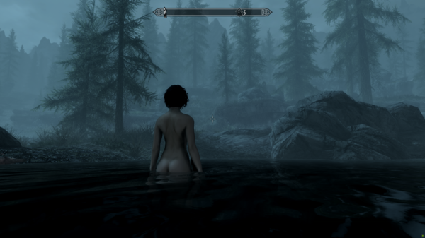 Skyrim Special Edition 2021-01-14 17_45_34.png