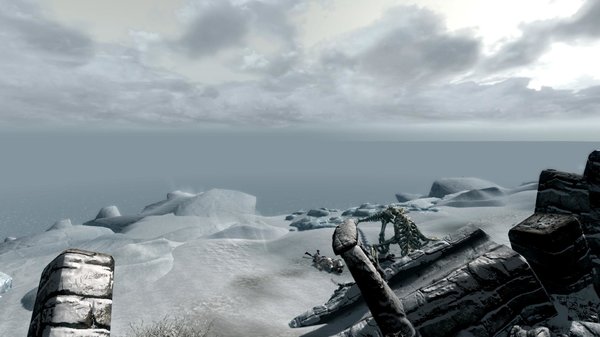 TESV 2021-01-07 15-28-41-10.jpg