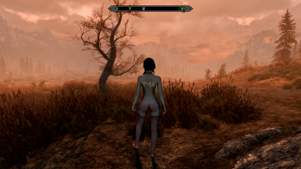 Skyrim Special Edition 20.01.2021 23_23_16.png