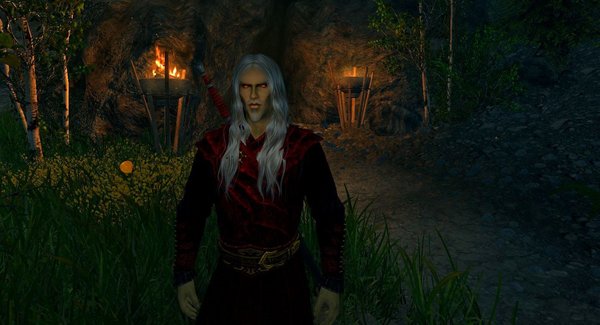 Альтмер собрался к страже рассвета..