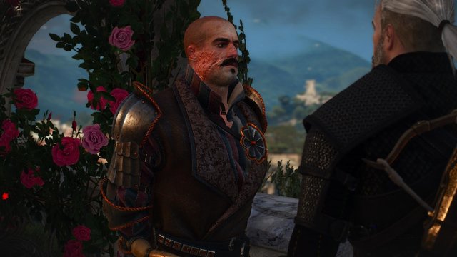 witcher3 2020-06-21 22-28-39-51.jpg