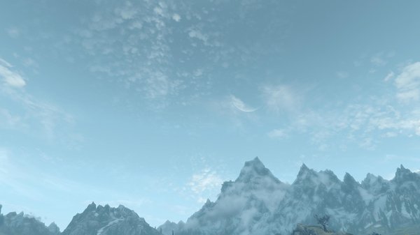 TESV 2021-02-07 15-32-03-95.jpg