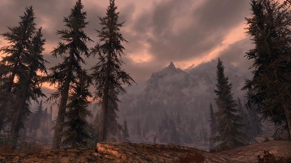 TESV 2021-02-23 17-56-45-59.jpg