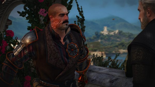 Дамьен де ла Тур беседует с Геральтом.