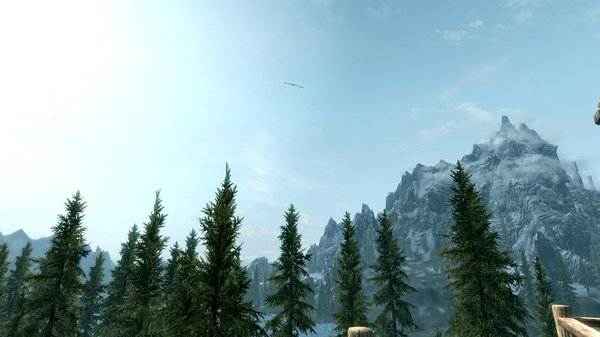 TESV 2021-02-28 15-52-51-31.jpg