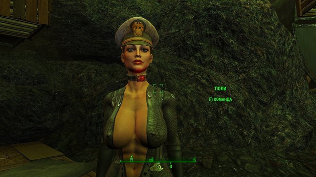 1074668834_Fallout42021-02-0416-45-49.thumb.jpg.f1e0f245406da91cc744c211dbeb024e.jpg