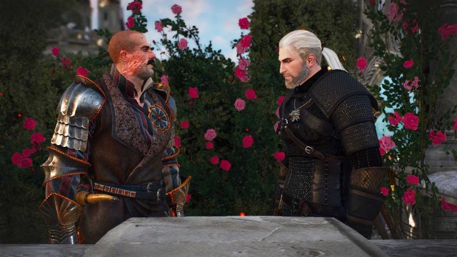 witcher3 2020-06-21 22-29-34-29.jpg
