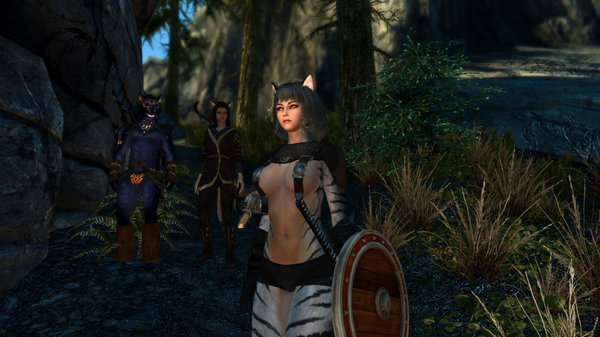 Кошачья банда