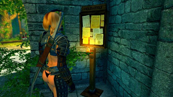 Доска объявлений в городе.. SkyrimSE (сборка 6.0)