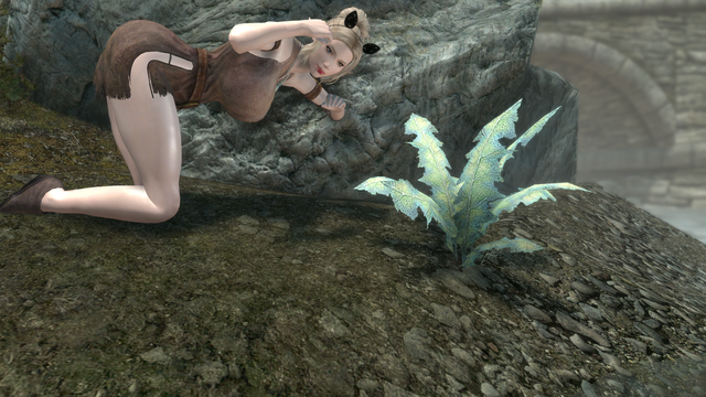 SkyrimSE 2021-04-03 12-43-16-47.png