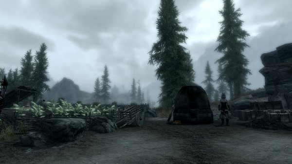 TESV 2021-04-11 18-45-23-17.jpg