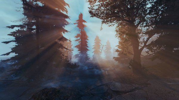 Утренний пейзаж.. Fallout-4 (Сборка 6.5)