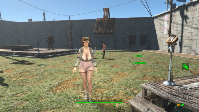 Fallout4 2021-05-26 23-41-25.png