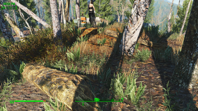 Снимок экрана (269).png