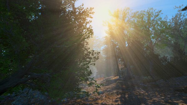 Пейзаж.. Fallout-4 (Сборка 6.5)