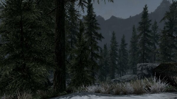 TESV 2021-05-29 15-24-01-00.jpg