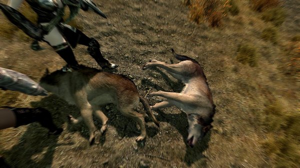 TESV 2021-05-02 18-23-47-17.jpg