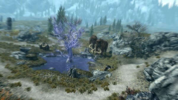 TESV 2021-05-16 18-11-58-11.jpg