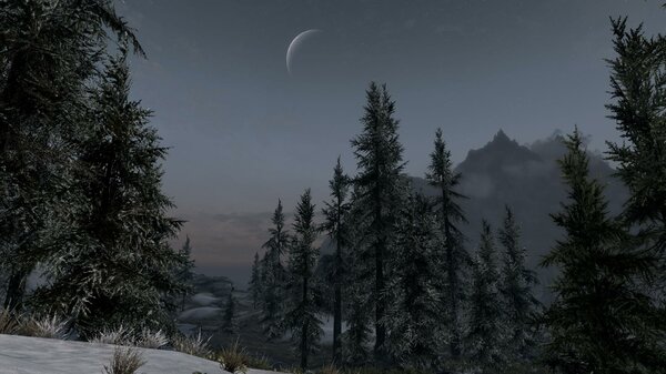 TESV 2021-05-29 15-24-35-45.jpg