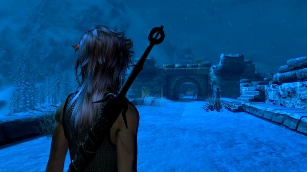 ЦИРИ пришла к Виндхельму.