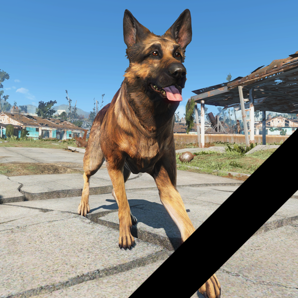 Ты всегда будешь жить в наших сердцах...