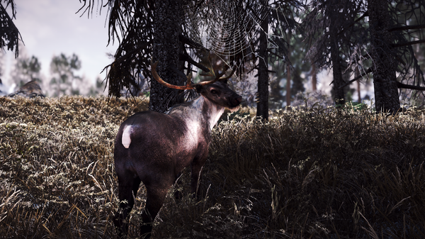 SkyrimSE 2021-06-19 01-19-21-54.png