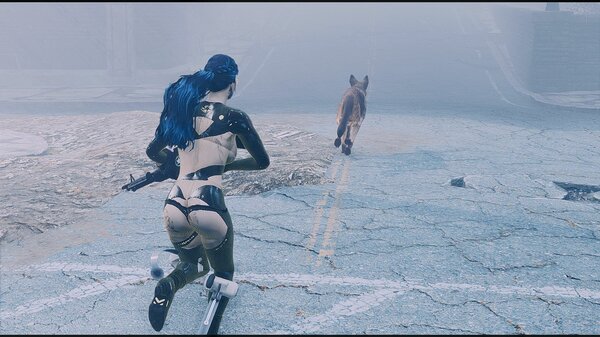 На задание с псиной.. Fallout-4 (Сборка 6.5)