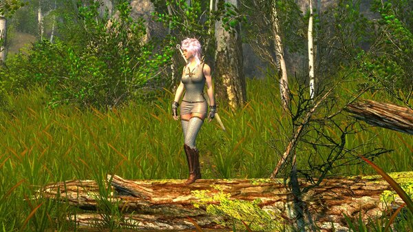 Цирька.. SkyrimSE (сборка 6.0)