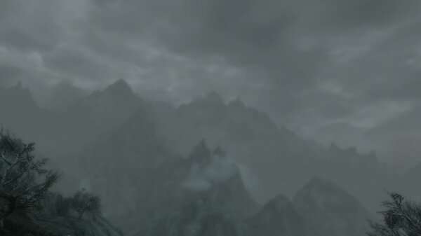 TESV 2021-07-25 17-51-11-56.jpg