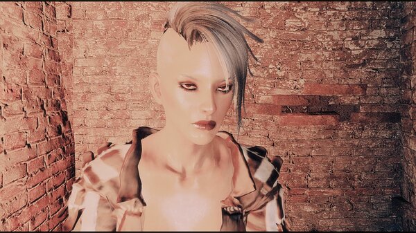 ... Fallout-4 (Сборка 6.5)