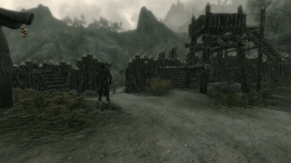 TESV 2021-07-25 17-55-14-33.jpg