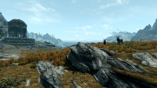 TESV 2021-07-18 18-15-19-91.jpg