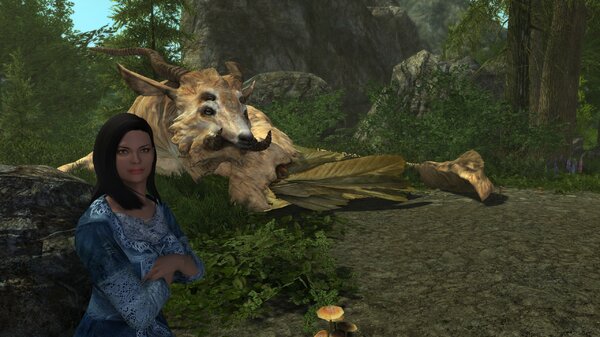 Стюардесса летних линий...