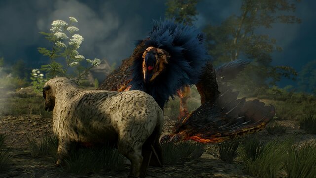 witcher3 2021-08-07 21-36-35-41.jpg