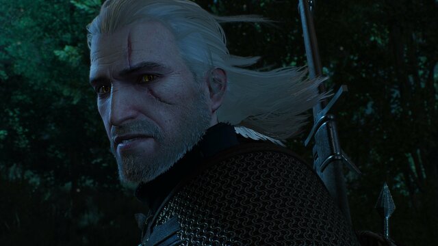 witcher3 2021-08-07 21-49-47-06.jpg