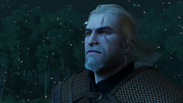 witcher3 2021-08-07 21-49-44-83.jpg
