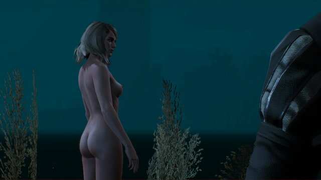 witcher3 2021-08-08 17-52-40-00.jpg