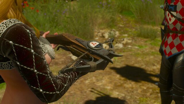 witcher3 2021-08-27 23-37-16-32.jpg